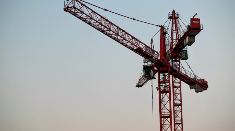 Grue rouge